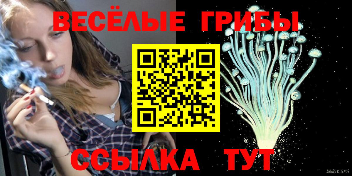 Псилоцибиновые грибы мицелий  Вход с VPN  Ростов-на-Дону 